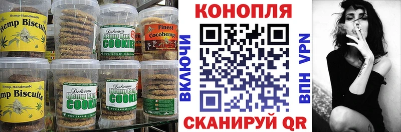 где найти   Навашино  Canna-Cookies марихуана 