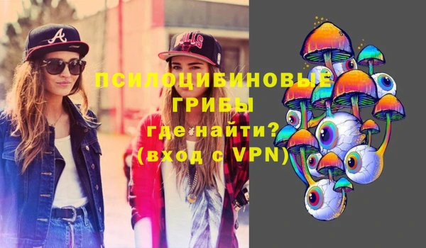 прущий лед Бронницы