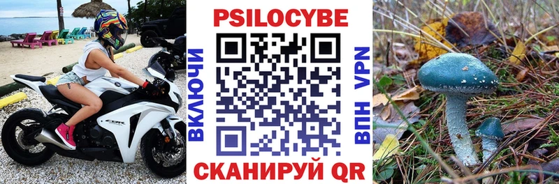 Галлюциногенные грибы Psilocybe Навашино