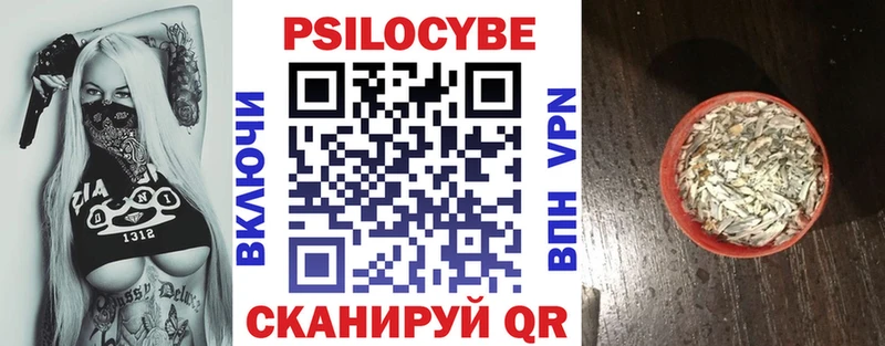 мега ССЫЛКА  купить наркоту  Навашино  Галлюциногенные грибы мухоморы 